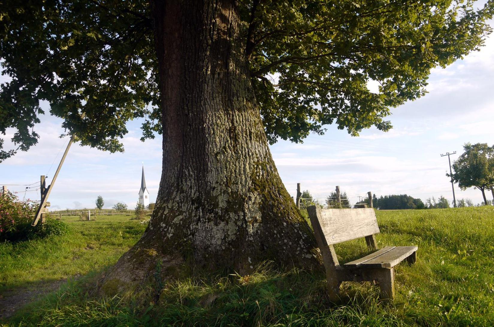 Beim Danner Villa Riedering Luaran gambar